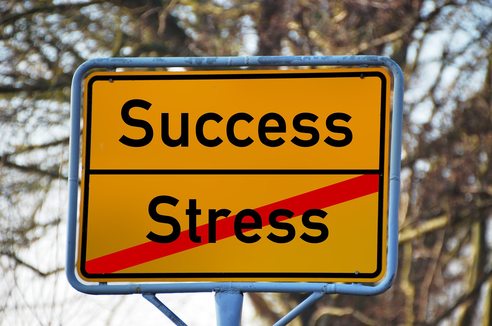 Stres – Twój sprzymierzeniec, czy wróg? (wydarzenie dla absolwentów)