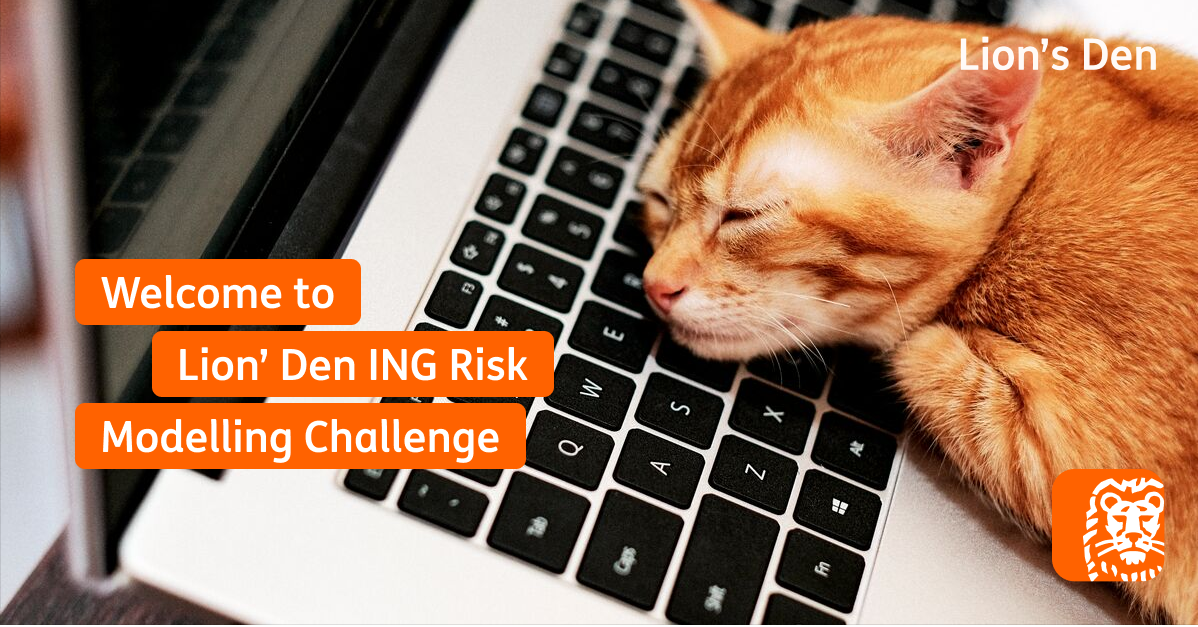 Lion's Den ING Risk Modelling Challenge 2024